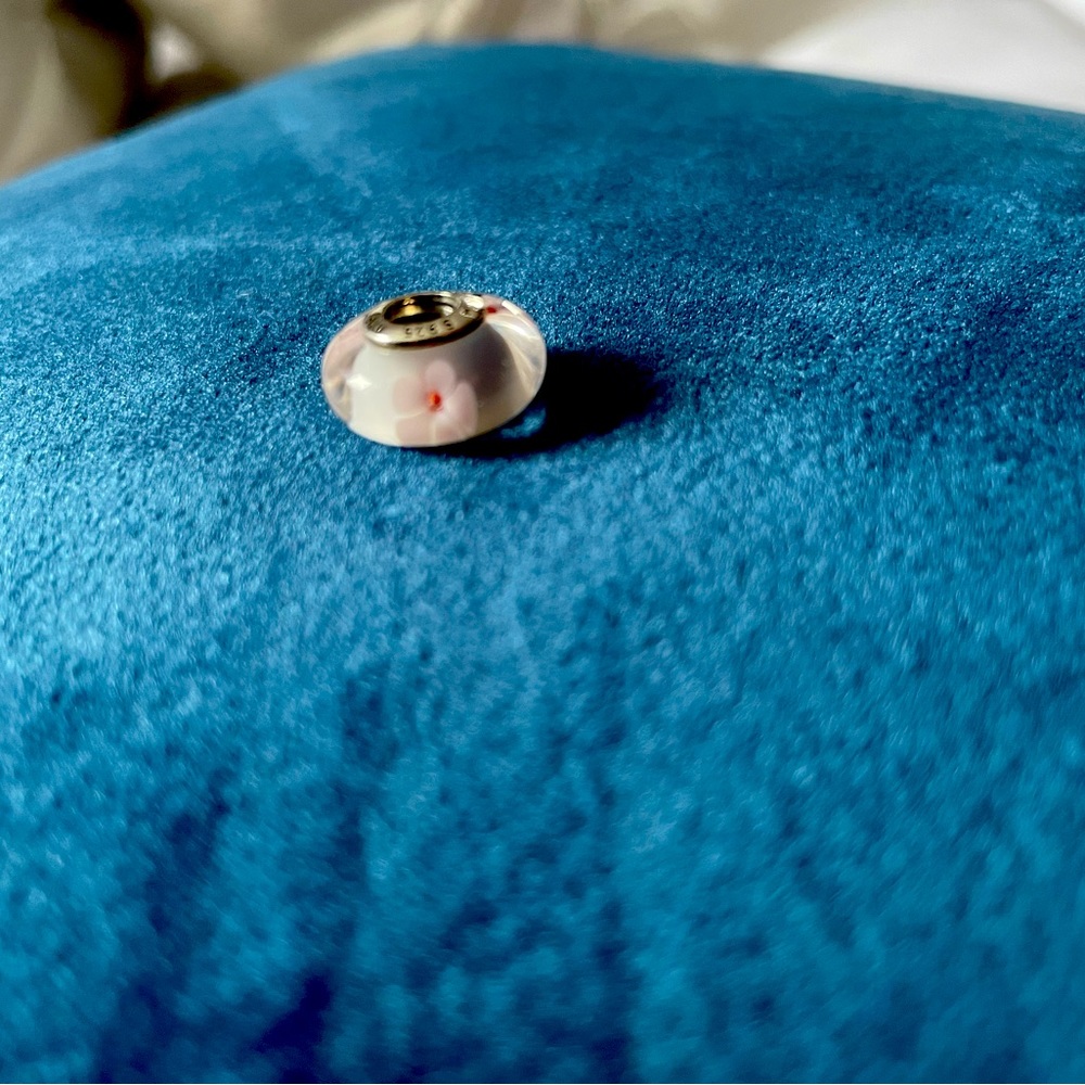 Pandora charm